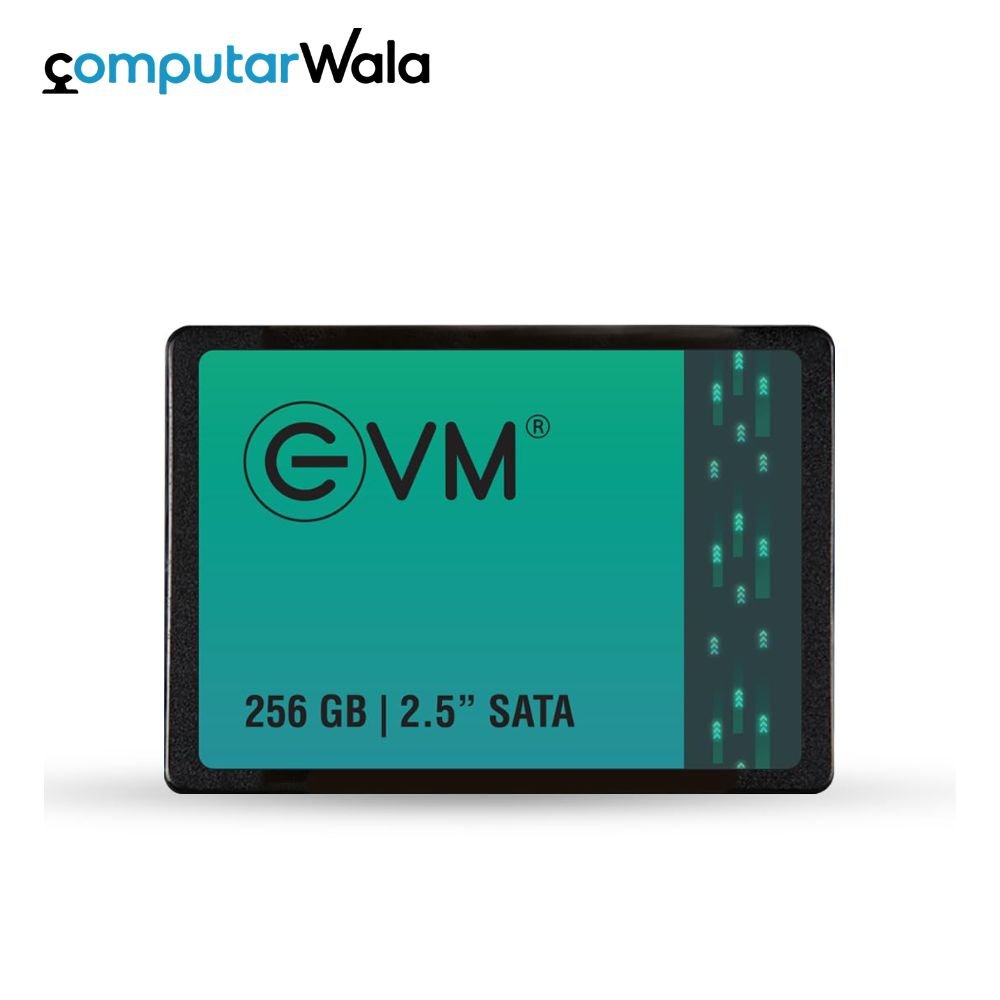 EVM SSD 256GB
